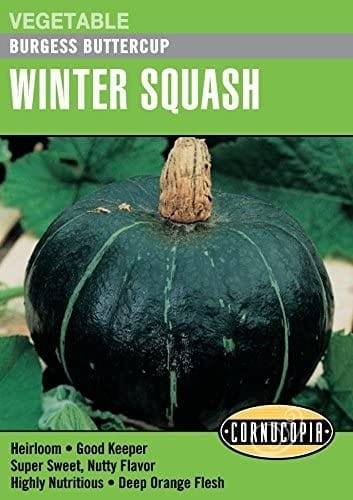 Winter Squash - Burgess Buttercup