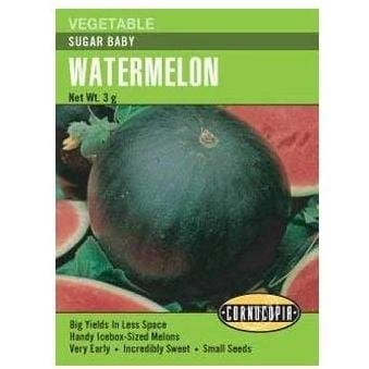 Watermelon - Watermelon Sugar Baby