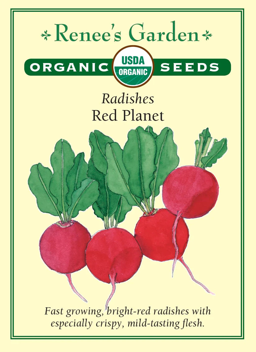 Radish - Radish Red Planet Organic