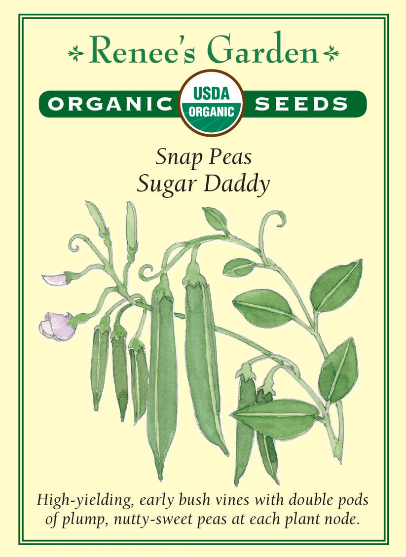 Peas - Sugar Daddy - Organic