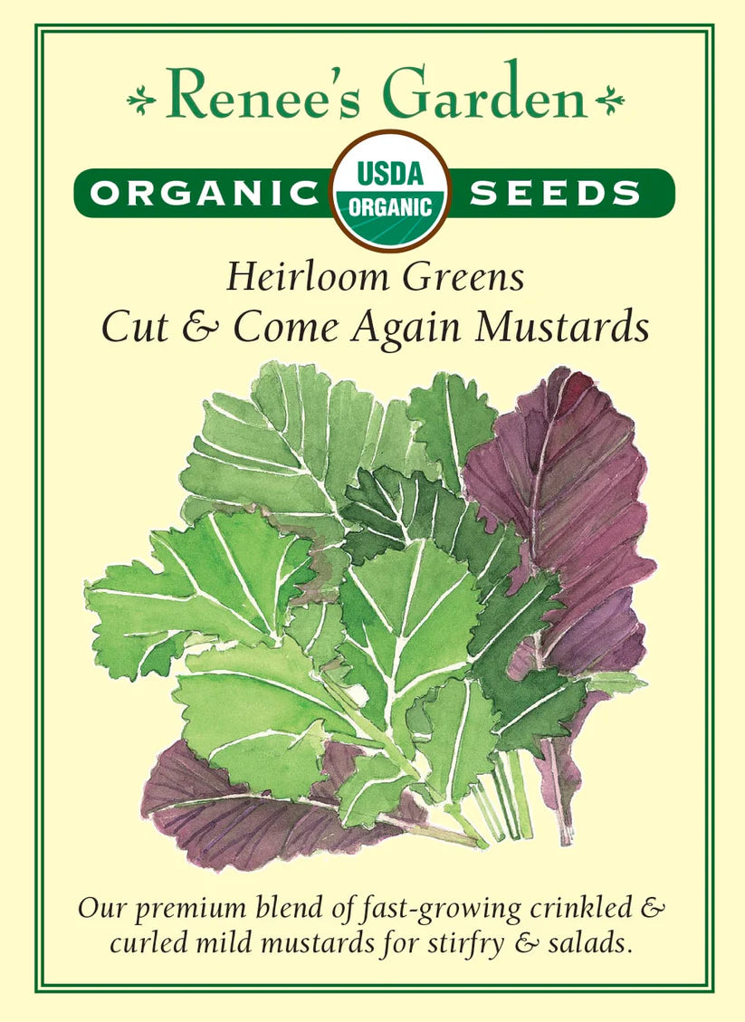 Mustard Greens - Cut & Come Again - Organic