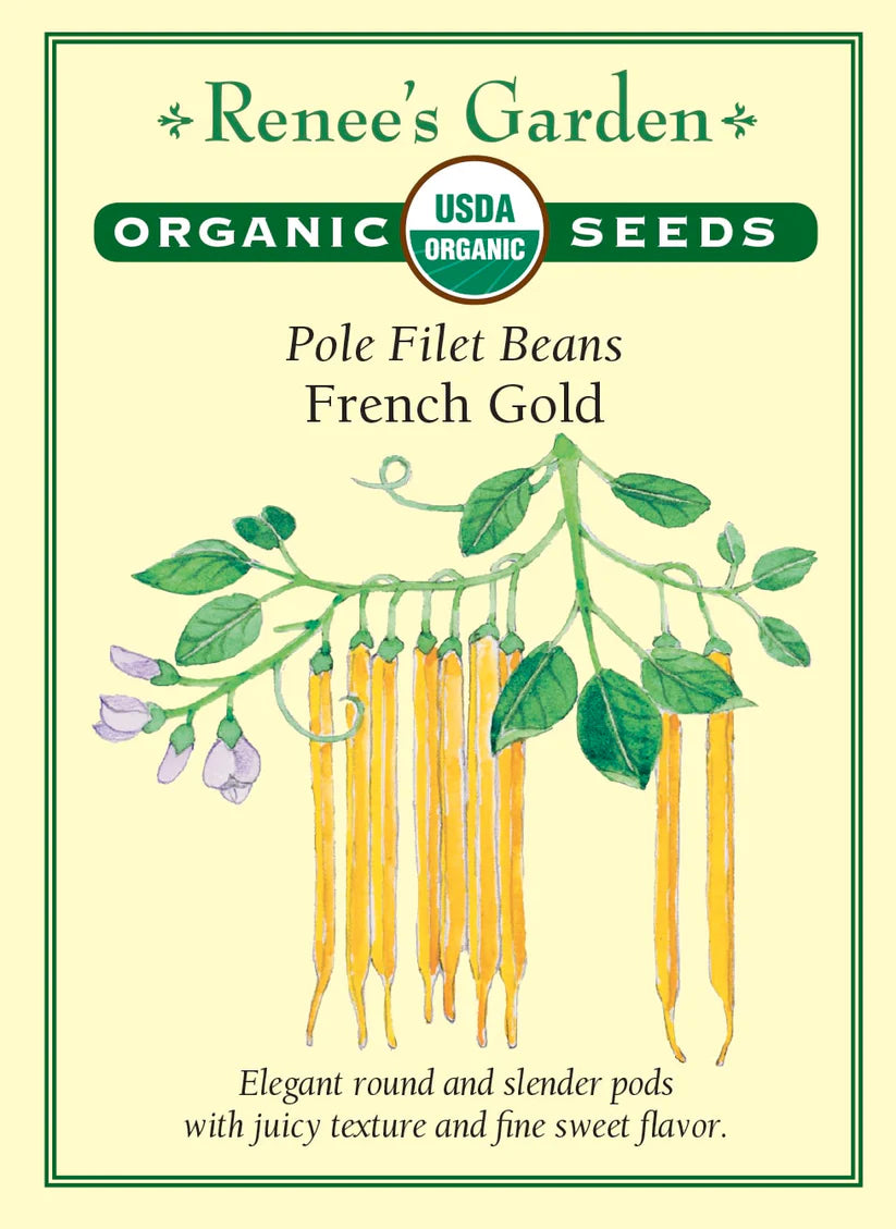 Beans - Pole Filet French Gold - Organic