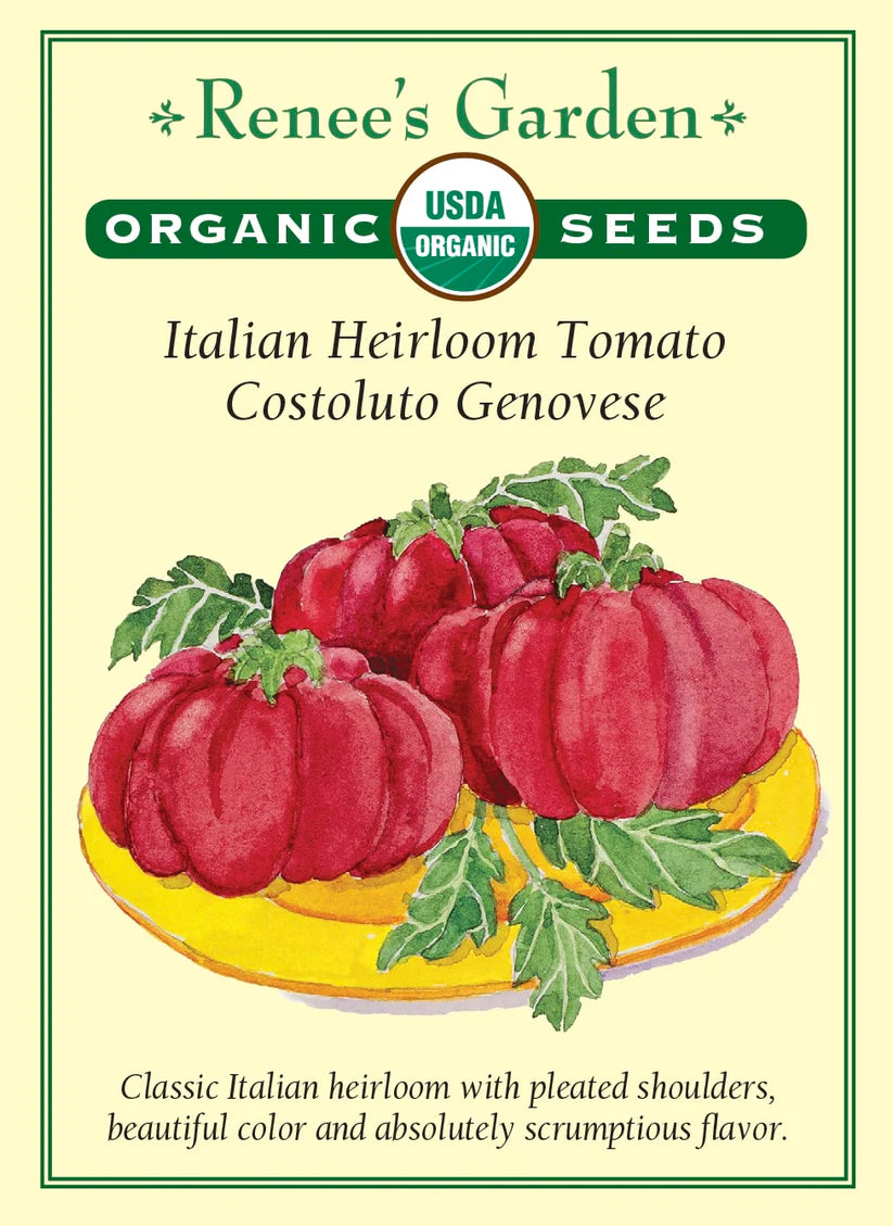 Tomato - Costoluto Genovese - Organic