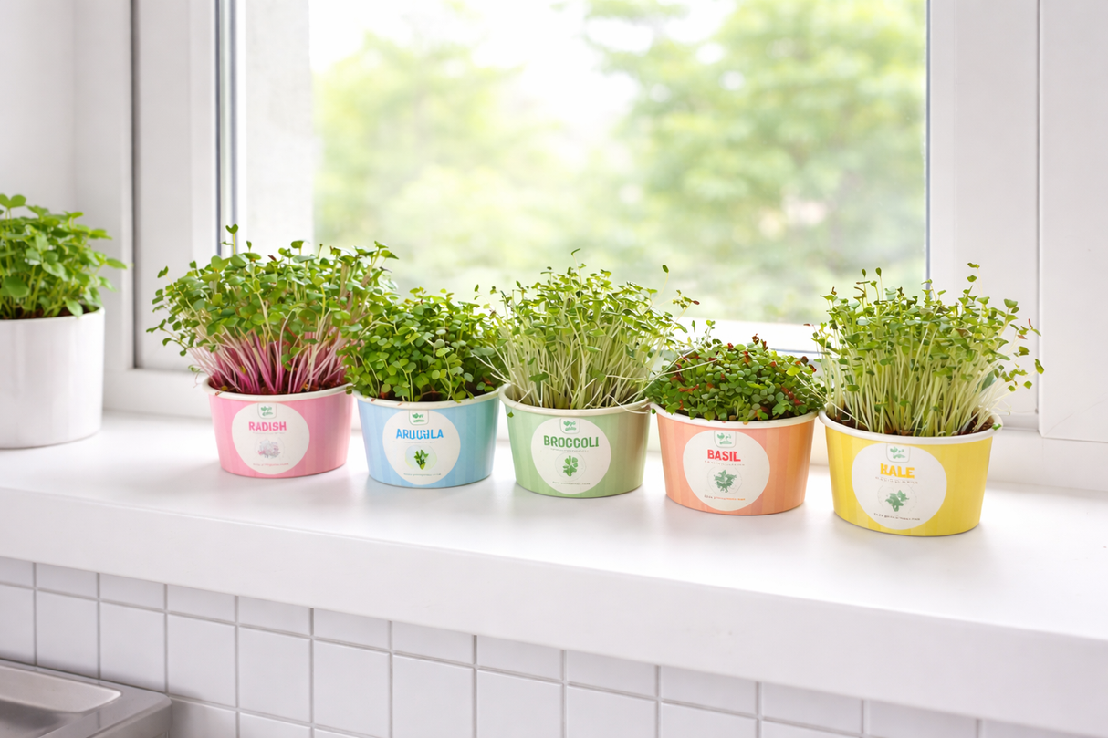 Father's Day Sow and Grow Organic Microgreens Gift Box