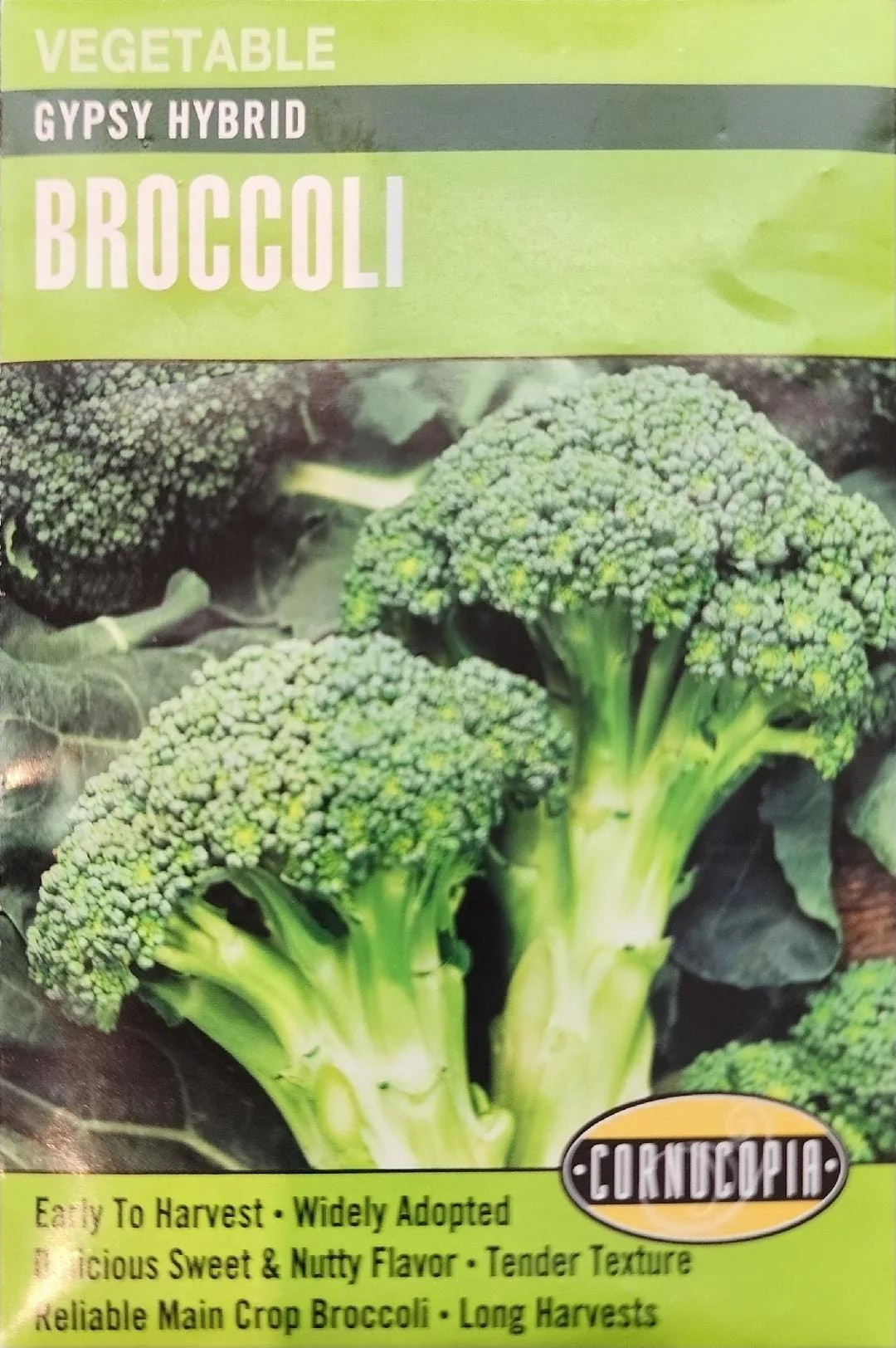 Broccoli - Gypsy Hybrid