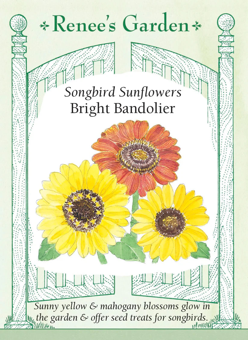 Sunflower - Sunflower Bright Bandolier