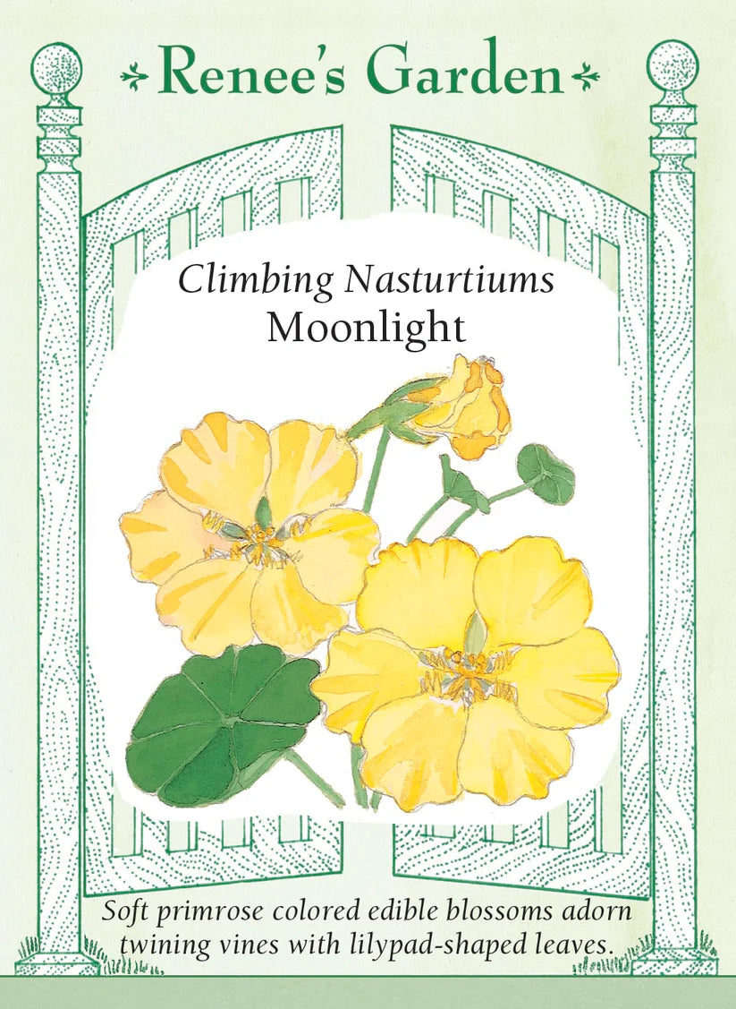 Nasturtiums - Nasturtium Moonlight Climbing