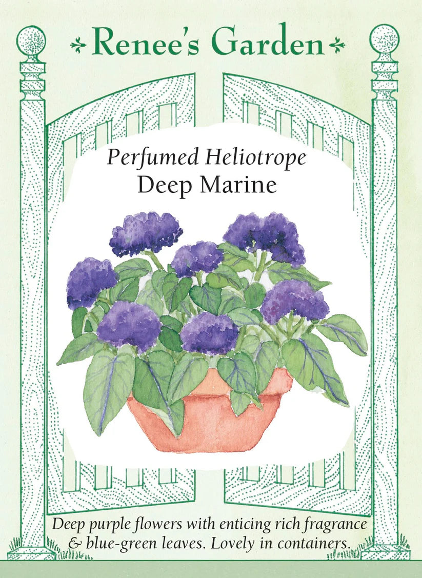 Heliotrope - Deep Marine