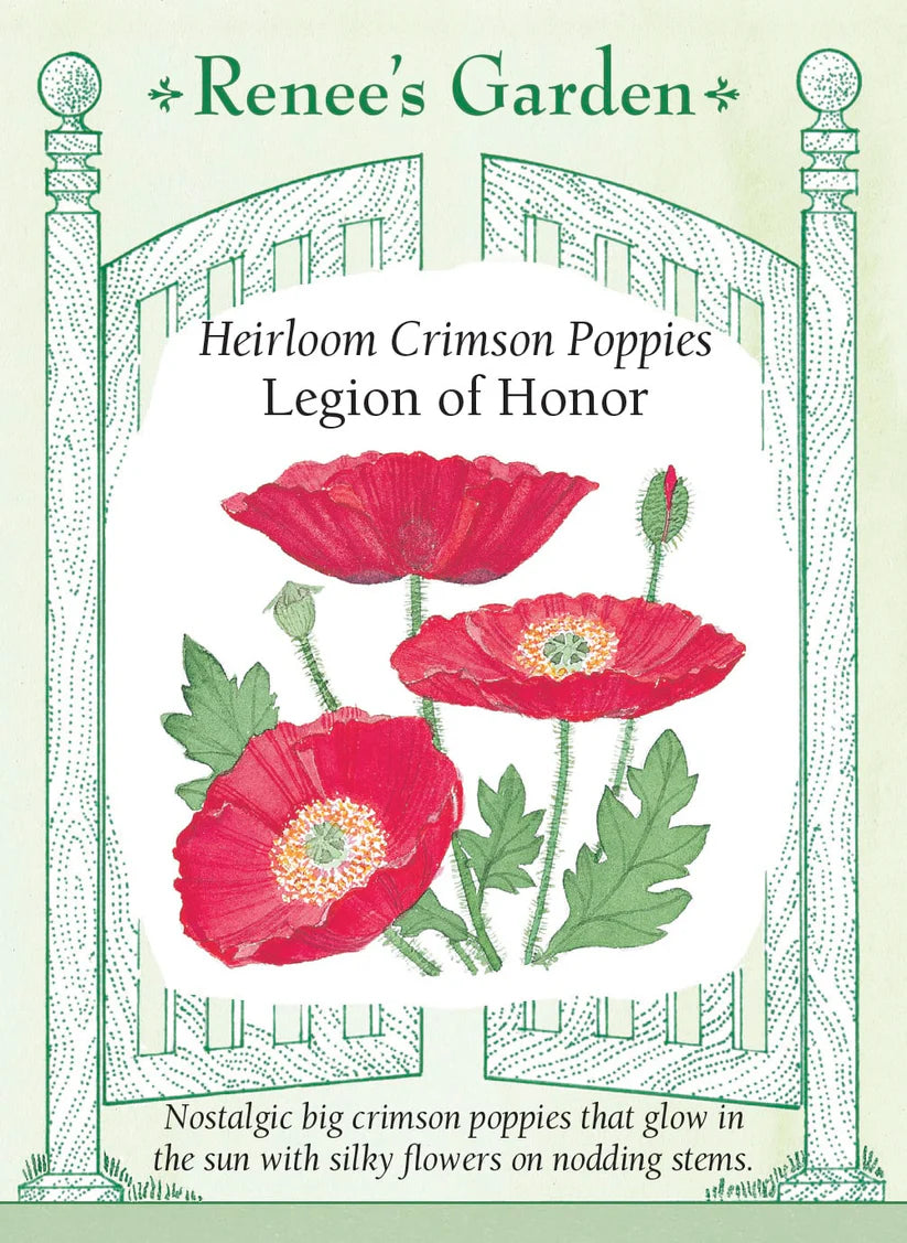 Poppy - Poppy Shirley Legion of Honor