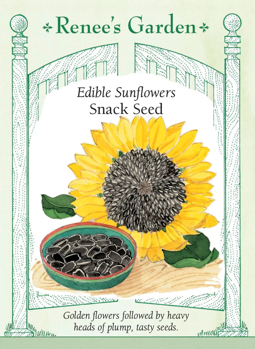 Sunflowers - Snack Seed Edible Sunflower