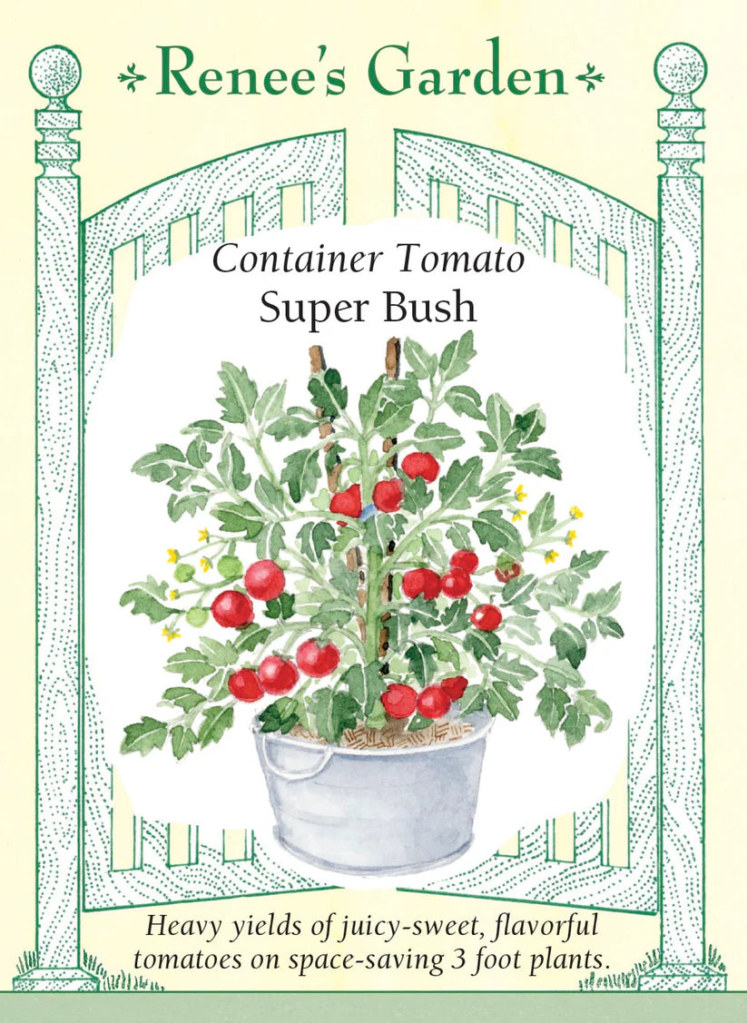 Tomato - Super Bush
