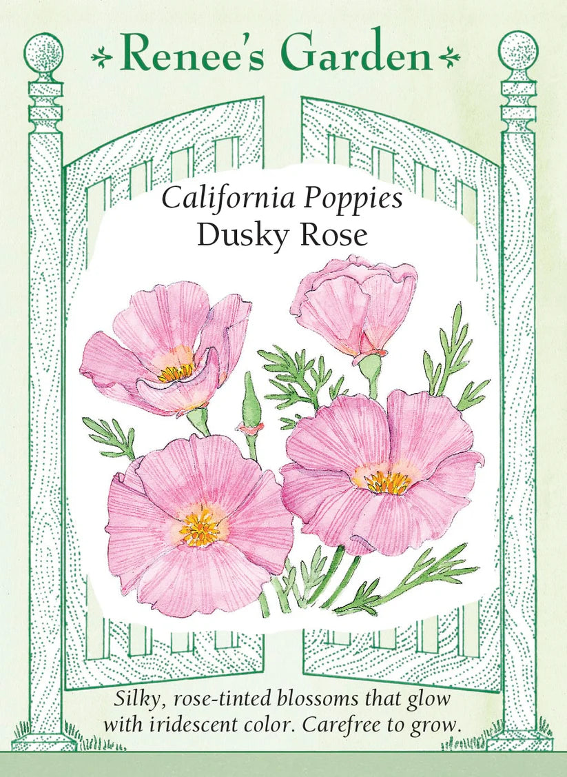 Poppies - California - Dusky Rose