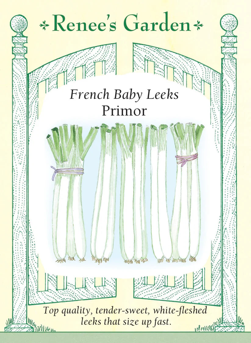Leek - Leek Primor French Baby