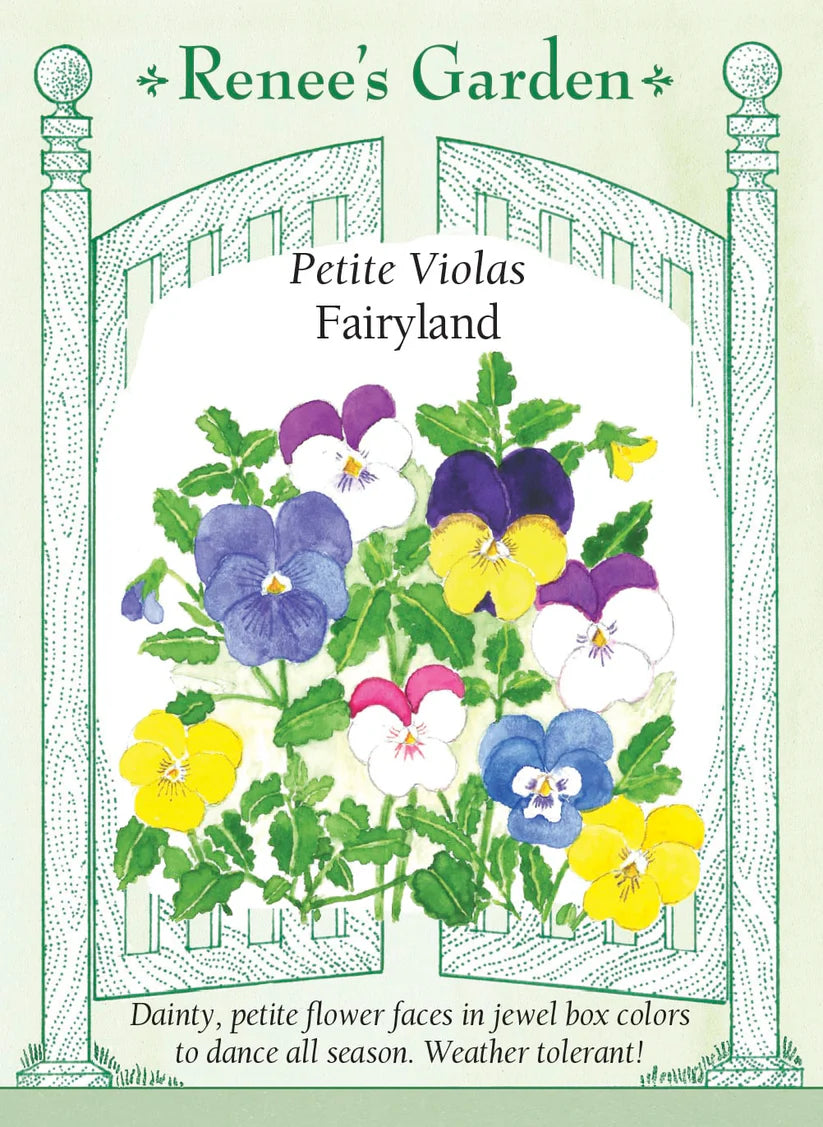 Viola - Fairyland