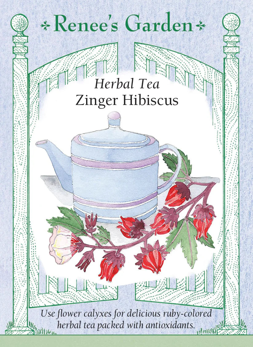 Hibiscus - Zinger Herbal Tea