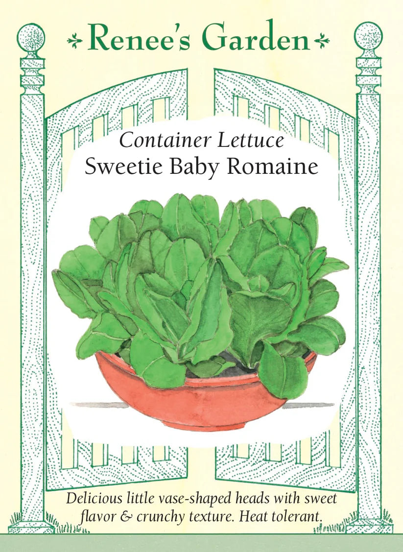 Lettuce - Sweetie Baby Romaine Lettuce
