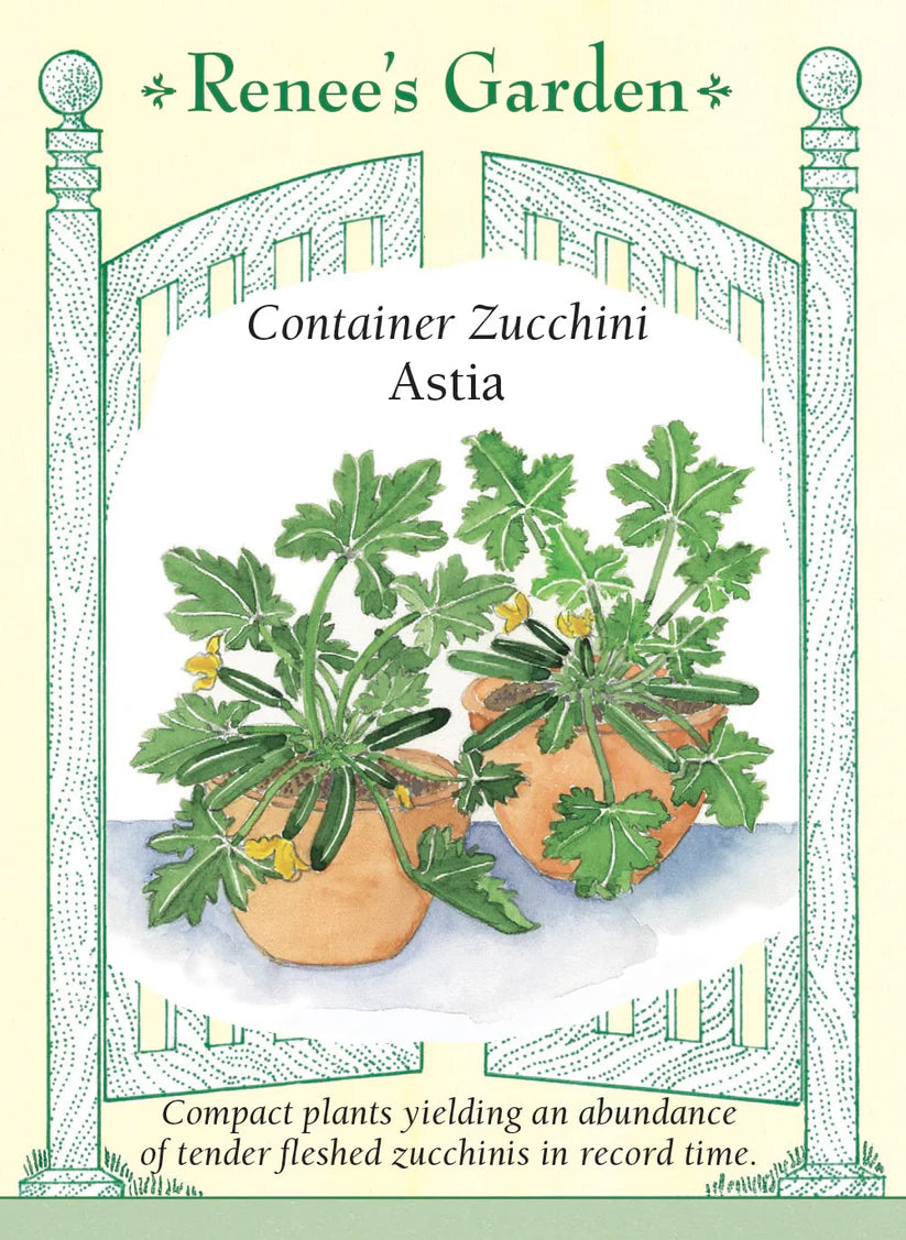 Squash - Astia Container Zucchini