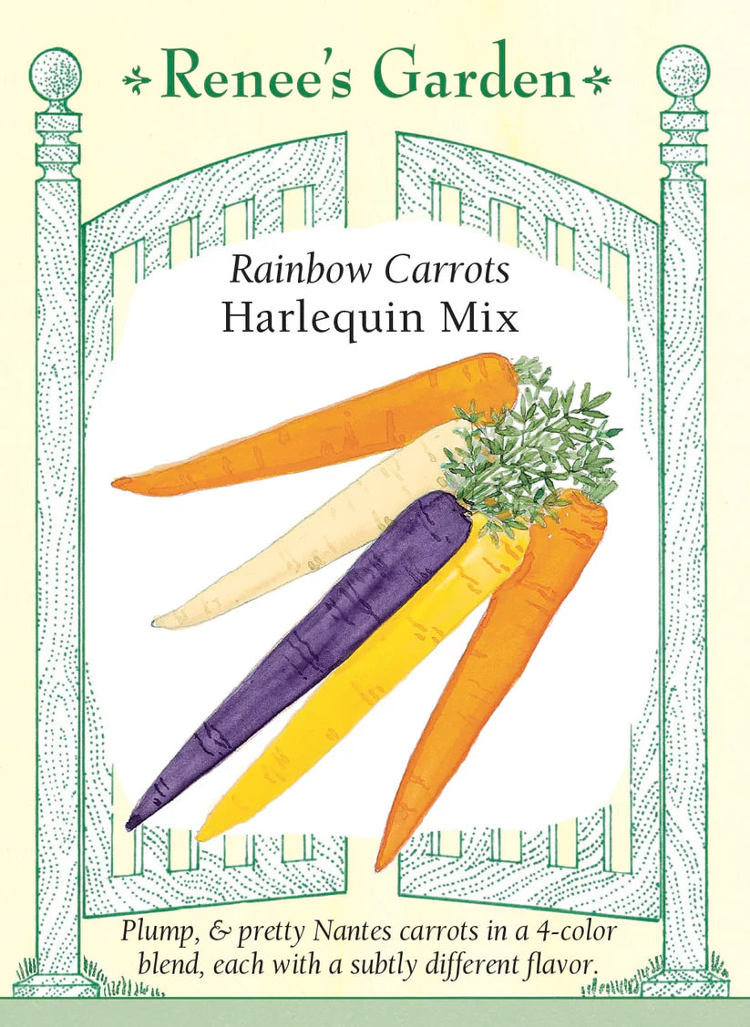 Carrot - Rainbow Harlequin Carrot Mix