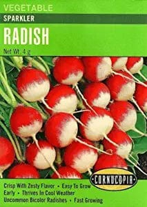 Radish - Radish Sparkler
