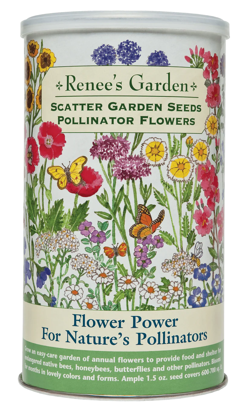Scatter Garden Seeds -Pollinator Flowers