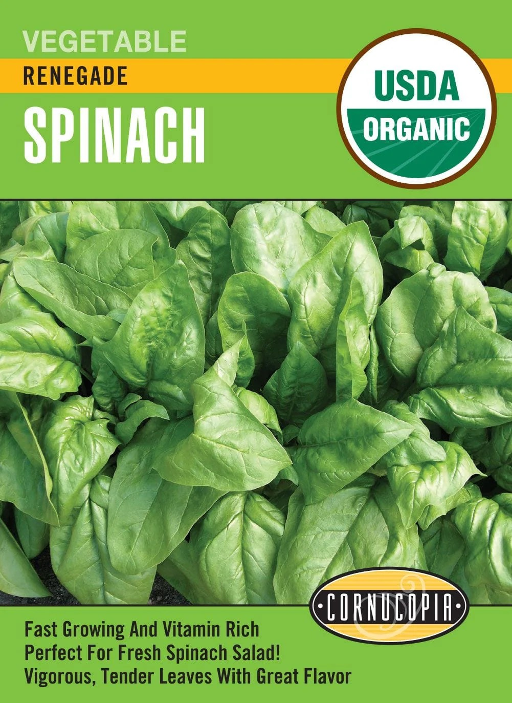 Spinach - Spinach Renegade - Organic