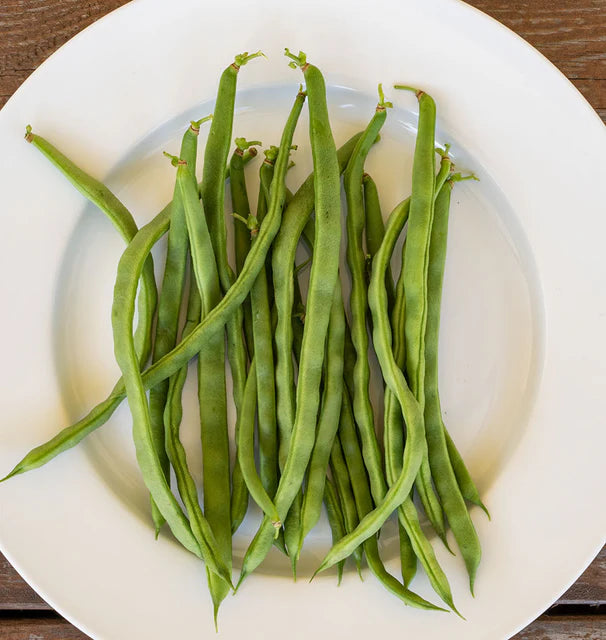 Beans - Lazy Housewife