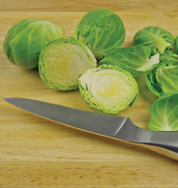 Brussel Sprouts - Nautic F1 (Coated) Certified Organic