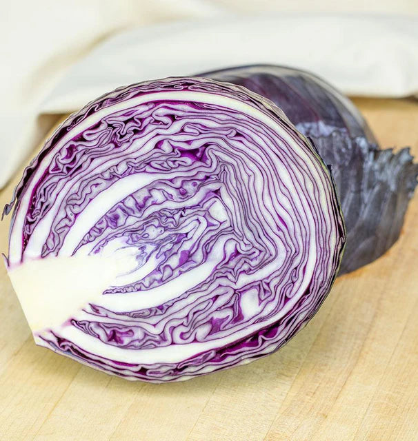 Cabbage - Integro F1 (Coated) Certified Organic