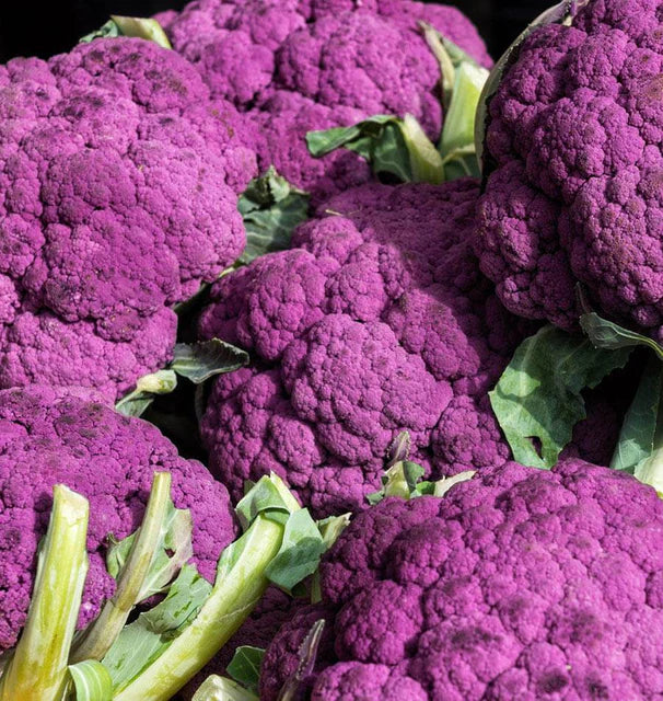 Cauliflower - Graffiti