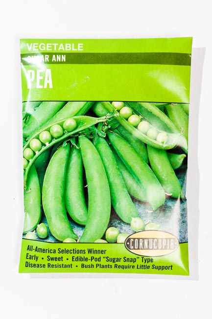Pea - Sugar Ann Sugar Snap