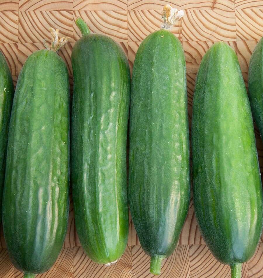 Cucumbers - Picolino - Certified Organic