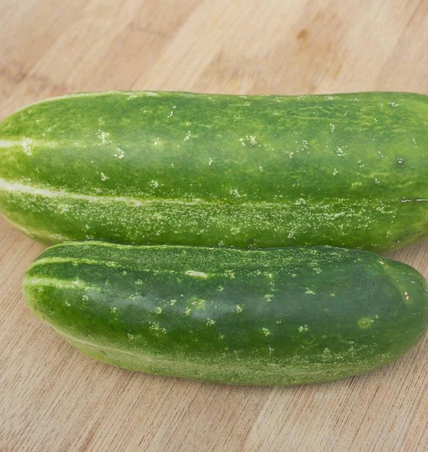 Cucumbers - Wisconsin SMR-58