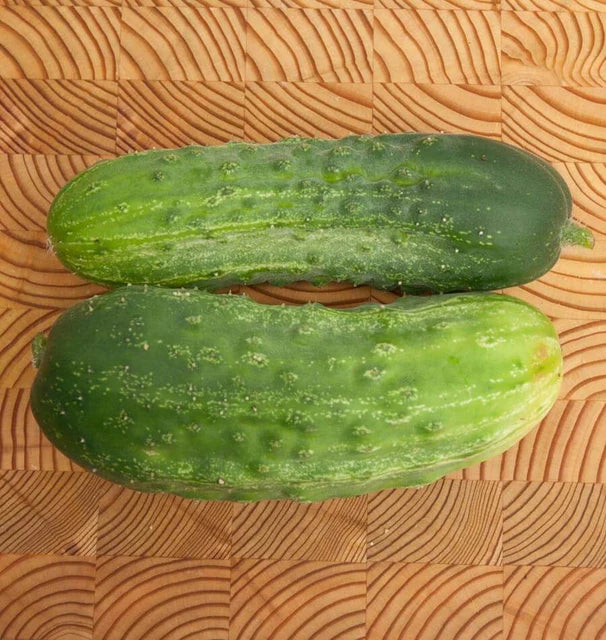 Cucumbers - Homemade Pickles