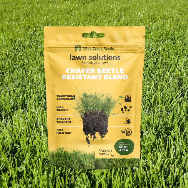 Lawn Solutions - Chafer Beetle Lawn Blend