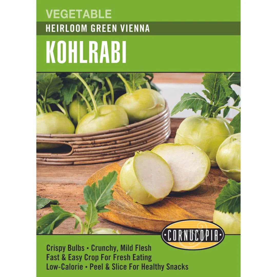 Kohlrabi - Kohlrabi Green Vienna