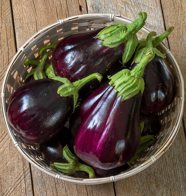 Eggplants - Black Beauty - Certified Organic
