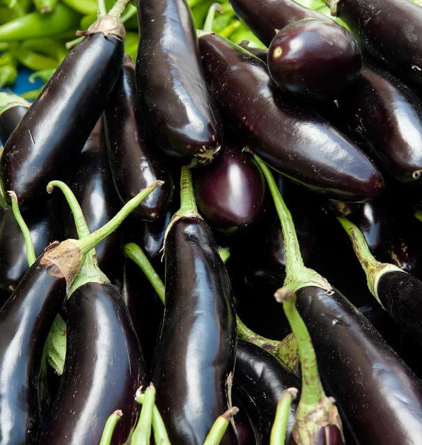 Eggplant - Long Purple