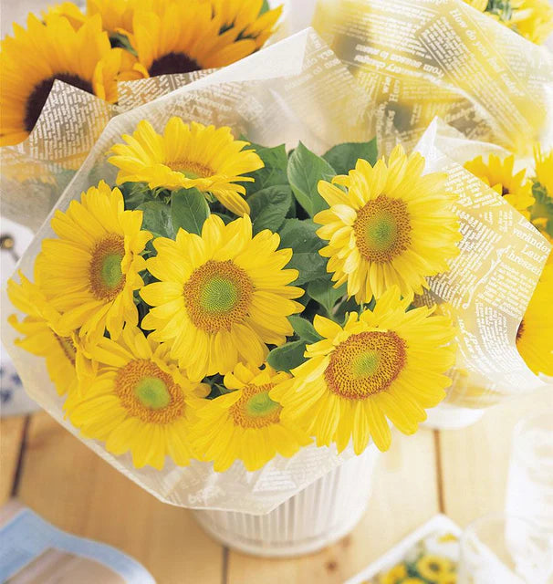 Sunflowers - Sunrich Lime Sunflower