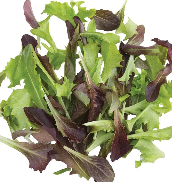 Lettuce - Fast and Furious Blend Certified Organic