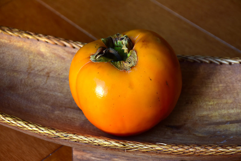 Persimmon-Diospyros kaki 'Giant Fuju'