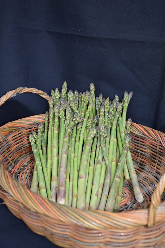 Asparagus 'Jersey Knight'