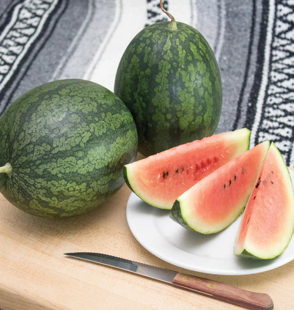 Melons - Black Beauty Mini Watermelon F1