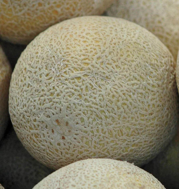 Melons - Home Run F1