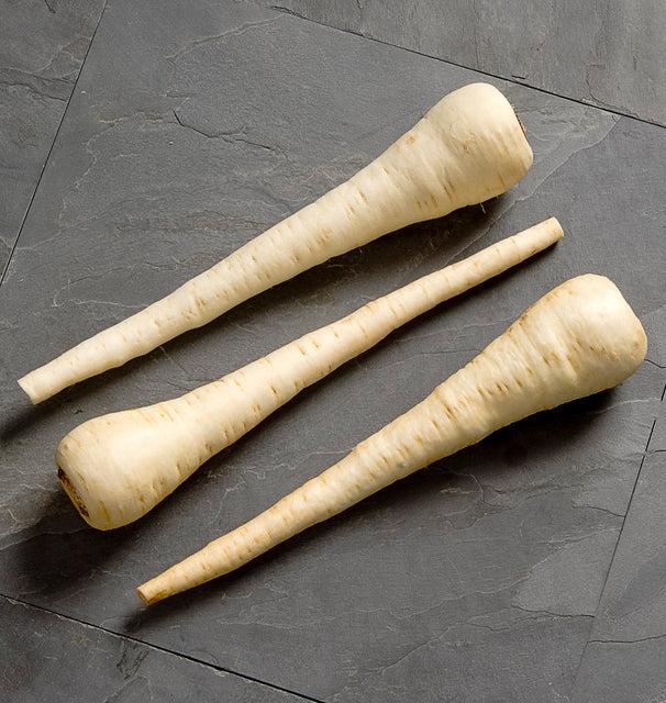 Parsnips - White Spear