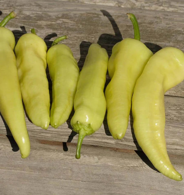 Peppers - Hungarian Hot Wax