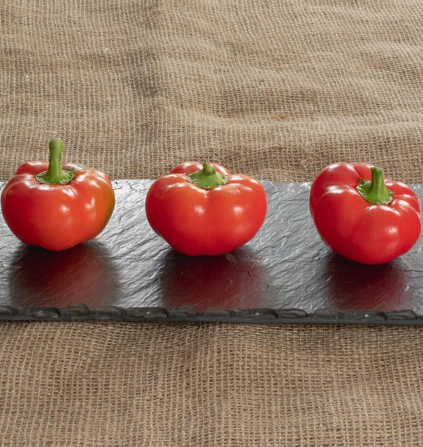 Pepper - Right On Red