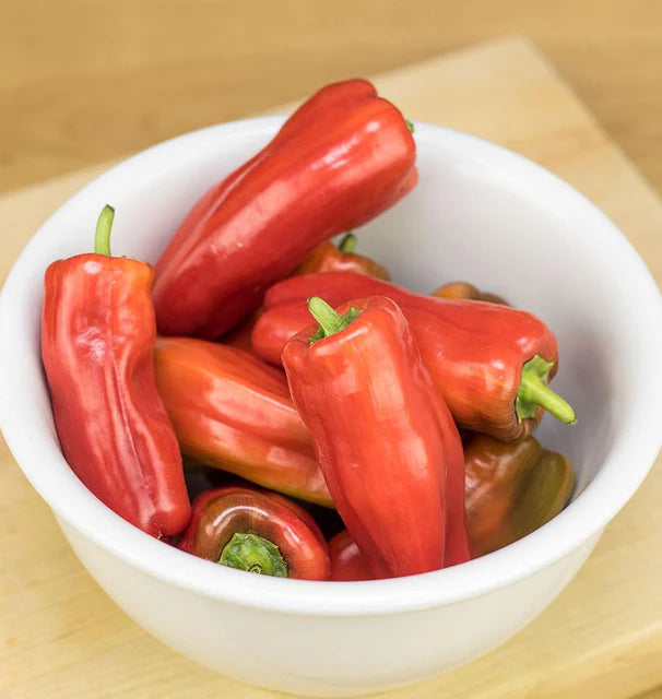 Peppers - Red Candy Cane Pepper