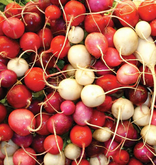 Radishes - Easter Egg II Blend