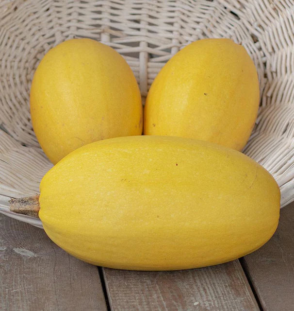 Squash (Winter) - Spaghetti Squash