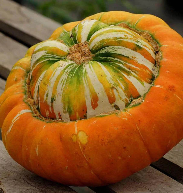 Squash (Winter) - Turk's Turban